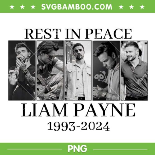 Rest In Peace Liam Payne 1993 2024 PNG, Liam Payne With Signature PNG