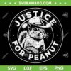 Justice For Peanut SVG, Funny The Squirrel SVG PNG, P'nut PNut Peanut Squirrel DXF SVG PNG EPS