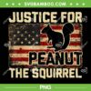 Justice For Peanut The Squirrel PNG, Peanut Squirrel American Flag PNG Justice For Peanut The Squirrel PNG, Peanut Squirrel American Flag PNG