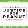 Justice For Peanut The Squirrel SVG, Peanut Squirrel Election SVG PNG Justice For Peanut The Squirrel SVG, Peanut Squirrel Election SVG PNG