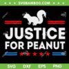 Justice For Peanut SVG PNG, The Squirrels 2024 SVG Justice For Peanut SVG PNG, The Squirrels 2024 SVG