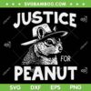 Peanut Squirrel 2024 SVG PNG, Justice For Peanut SVG, American Trending DXF SVG PNG EPS