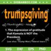 Trumpsgiving Definition SVG PNG, Trump Thanksgiving Definition SVG, Funny Turkey Day Trump Noun SVG PNG
