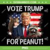 Vote Trump For Peanut PNG, Funny Trump The Squirrel PNG, Vote Trump American Flag PNG