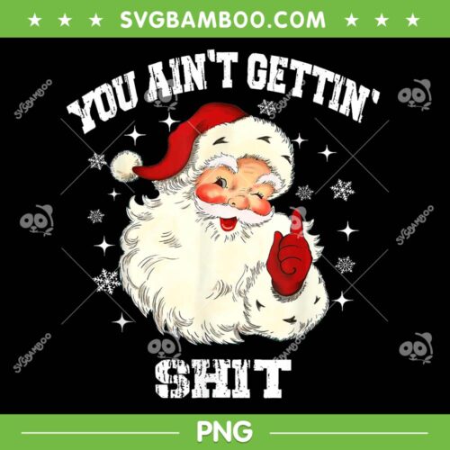 You Aint Getting Shit PNG, Funny Kids Santa Christmas PNG