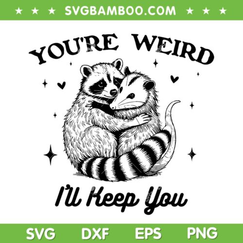 You're Weird I'll Keep You SVG, Funny Raccoon Valentine Day SVG PNG
