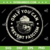 Vintage Smokey The Resist Bear SVG, Only You Can Prevent Fascism SVG PNG, Resist Bear Nation Park SVG