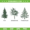 FDT Tree Anti Trump SVG, Fir Dogwood Tamarack Tree SVG PNG FDT Tree Anti Trump SVG, Fir Dogwood Tamarack Tree SVG PNG