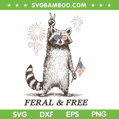 Feral and Free SVG, Funny Raccoon 4th of July SVG PNG, Raccoon Sunglasses American Flag SVG