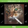 Funny Smoking Cat Meme PNG, Cool Cat Smoking PNG