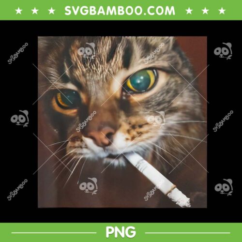 Funny Smoking Cat Meme PNG, Cool Cat Smoking PNG
