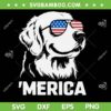 Golden Retriever 4th of july SVG, Golden Dog Merica SVG PNG, Funny Dogs Sunglasses American Flag SVG