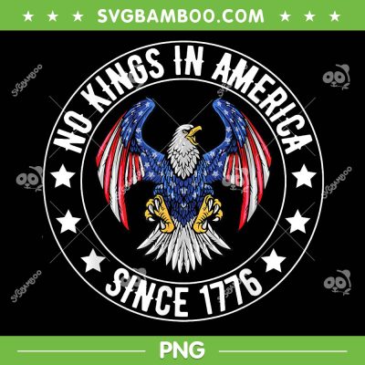 No Kings In America Since 1776 PNG, We The People USA FLAG PNG No Kings In America Since 1776 PNG, We The People USA FLAG PNG