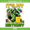 Minecraft Its My 8th Birthday PNG, Boy 8 Year Old Pixel Gamer PNG