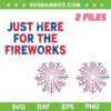 Just Here For The Fireworks SVG, Fireworks 4th of July Couple SVG PNG