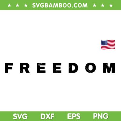 Charlie Kirk Freedom American Flag SVG, Charlie Patriot Freedom SVG PNG Charlie Kirk Freedom American Flag SVG, Charlie Patriot Freedom SVG PNG