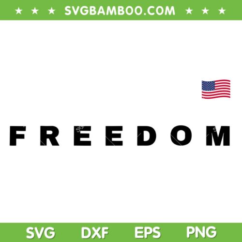 Charlie Kirk Freedom American Flag SVG, Charlie Patriot Freedom SVG PNG