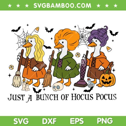 Funny Witch Goose Hocus Pocus SVG, Sanderson Sisters Goose Halloween Sublimation SVG PNG