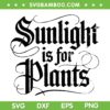 Sunlight is for Plants SVG, Funny Gamer SVG PNG