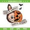 Labubu Pumpkin Sorta Sweet SVG, Labubu Sorta Spooky Halloween SVG PNG Labubu Pumpkin Sorta Sweet SVG, Labubu Sorta Spooky Halloween SVG PNG