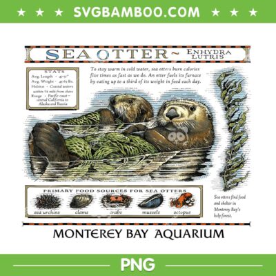 Monterey Bay Aquarium Otter PNG, Taylor Swift Otter PNG Monterey Bay Aquarium Otter PNG, Taylor Swift Otter PNG