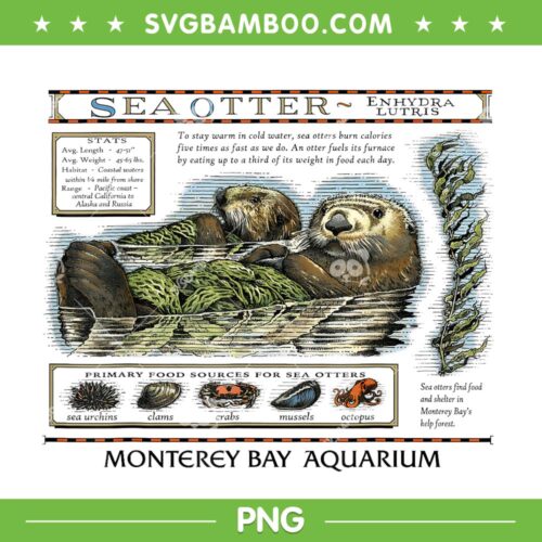 Monterey Bay Aquarium Otter PNG, Taylor Swift Otter PNG