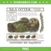 Taylor Swift Otter PNG, Monterey Bay Aquarium Otter PNG, Sea Otter Monterey Califonia 90s PNG Taylor Swift Otter PNG, Monterey Bay Aquarium Otter PNG, Sea Otter Monterey Califonia 90s PNG