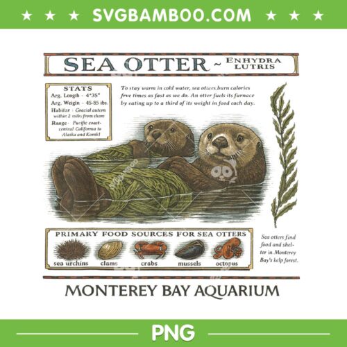 Taylor Swift Otter PNG, Monterey Bay Aquarium Otter PNG, Sea Otter Monterey Califonia 90s PNG