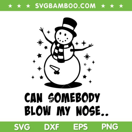 Funny Snowman Can Somebody Blow My Nose SVG, Snowman Adult SVG PNG