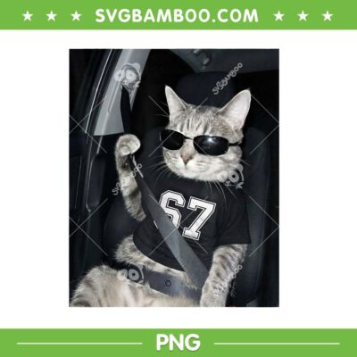 67 Cat Wearing Sunglasses PNG, Funny Cat Gen Alpha Six Seven PNG