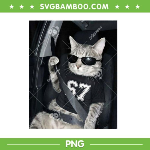 67 Cat Wearing Sunglasses PNG, Funny Cat Gen Alpha Six Seven PNG