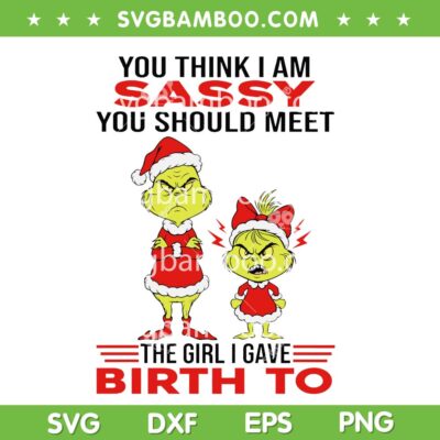 Grinch Sassy Girl SVG, Funny Grinch Xmas Family Quote SVG PNG