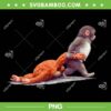 Monkey Punch Baby PNG, Funny Baby Monkey PNG