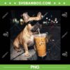 French Bulldog Drinking iced Coffee PNG, Cool Bulldog Sunglasses Coffee PNG
