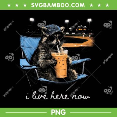 Raccoon Ballfield Baseball Field PNG, Raccoon I Live Here Now PNG