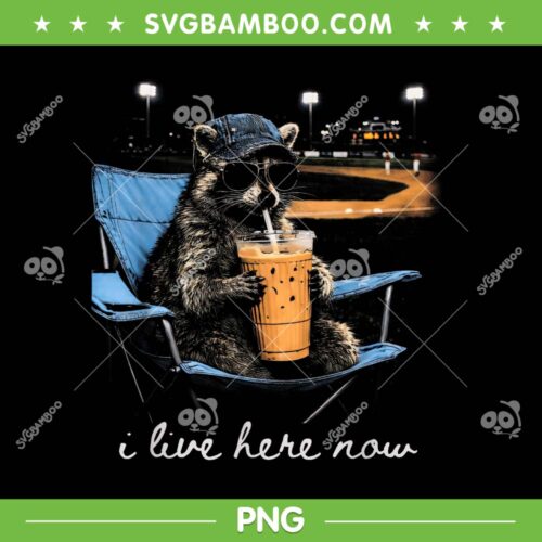 Raccoon Ballfield Baseball Field PNG, Raccoon I Live Here Now PNG