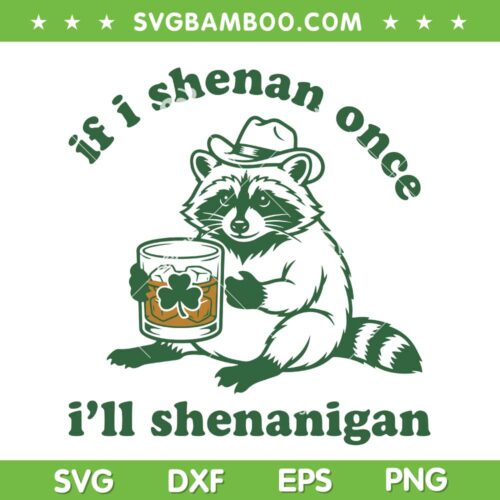 Raccoon If I Shenan Once I'll Shenanigan SVG, Funny Raccoon Shenanigans SVG PNG