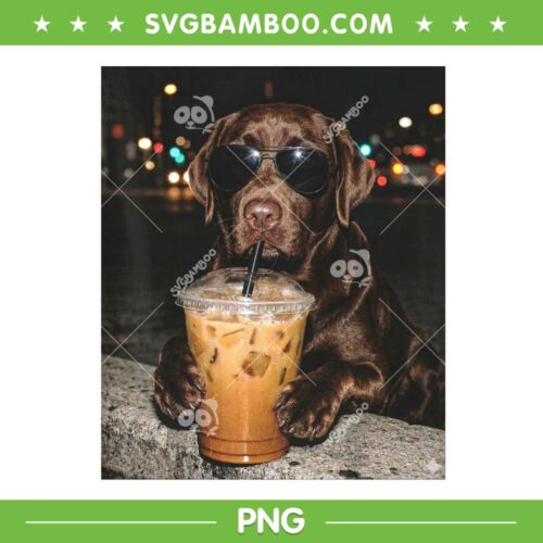 Labrador Retriever Drinking iced Coffee PNG, Cute Retriever Dog Sunglasses PNG