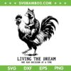 Funny Raccoon Riding Rooster SVG, Raccoon Living The Dream SVG PNG Funny Raccoon Riding Rooster SVG, Raccoon Living The Dream SVG PNG