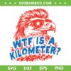 WTF is a Kilometer Eagle SVG, 4th of July Eagle Sunglasses SVG PNG