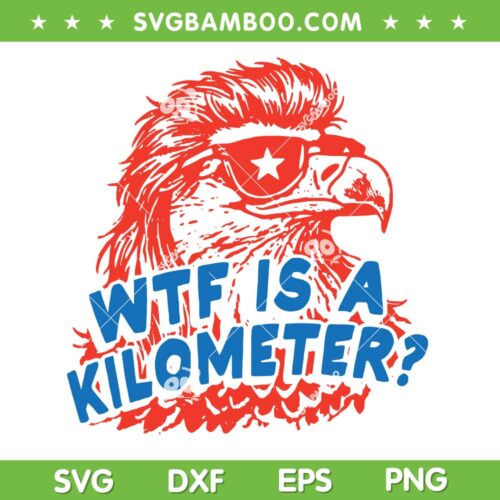 WTF is a Kilometer Eagle SVG, 4th of July Eagle Sunglasses SVG PNG
