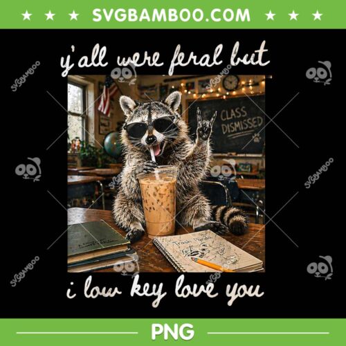 Raccoon Y'all were Feral But I Low Key Love You PNG, Funny Teacher Raccoon PNG