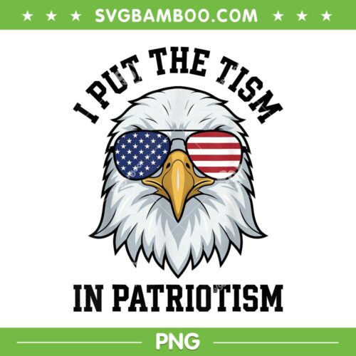 I Put The Tism in Patriotism PNG, Retro Eagle USA 250 Years PNG