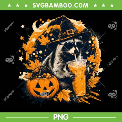 Halloween Raccoon PNG, Funny Witch Trash Panda PNG Halloween Raccoon PNG, Funny Witch Trash Panda PNG