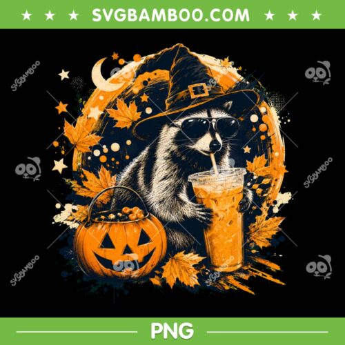 Halloween Raccoon PNG, Funny Witch Trash Panda PNG